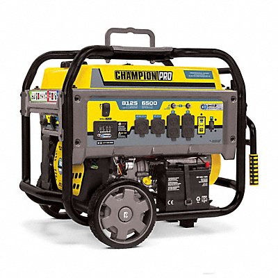 Portable and Inverter Generators