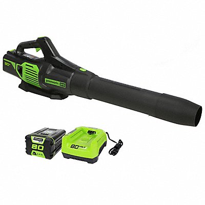 Electric Leaf Blowers and Vacuums