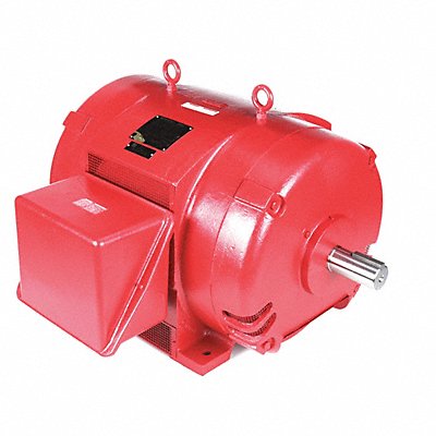 Pump Motors