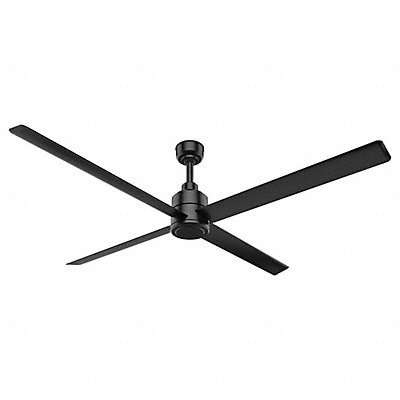 Ceiling Fans