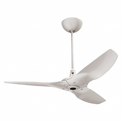 Disinfecting Ceiling Fans