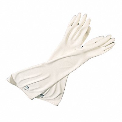 Glove Box Gloves