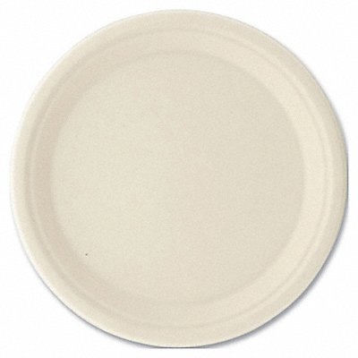 Disposable Plates