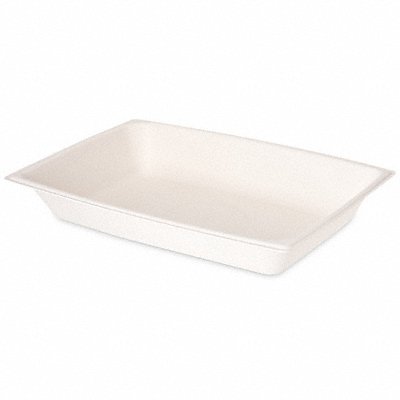 Disposable Trays