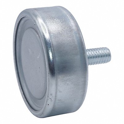 Skate Wheels