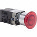 Push Buttons with Contact Blocks