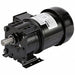 AC Gearmotor TEFC 115/230V 163 in-lb