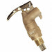 Rigid Safety Faucet Brass Brown NPS NPT