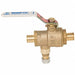 Ball And Relief Valve Bronze 125 psi