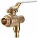 Ball And Relief Valve Bronze 80 psi