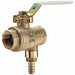 Ball And Relief Valve Bronze 125 psi