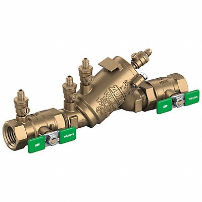 Backflow Preventer 3/4 in FNPT