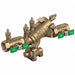 Backflow Preventer 1 in FNPT