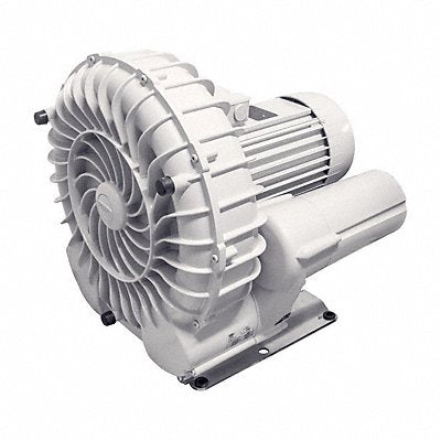 Regenerative Blowers