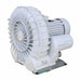 Regenerative Blowers