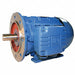 Metric Motor 75 HP 3 600 RPM 460V 250S/M