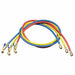 Manifold Hose Set Low Loss 60 In