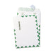 ENVELOPE,TYVEK,6X9,1ST,WE