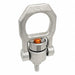 Hoist Rings