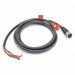Quick Disconnect Wire 10 ft./3m