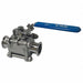 Sanitary Ball Valve 316 SS 2-Way Clamp