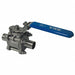 Sanitary Ball Valve 316 SS 2-Way Weld