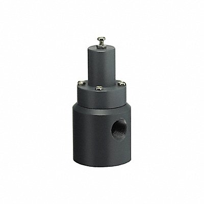 Pressure Relief Valve 1/2In 5 to 100 psi