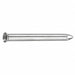Nozzle Only #5 For Cake Filler