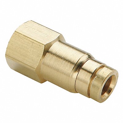 Female Connector 1/2 x 1/2 In