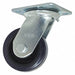 Swivel w/4x2 Urethane Wheel