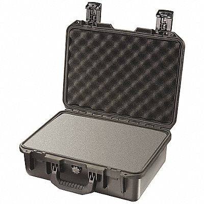 G3173 ProtCase 4 in PdLkHsp/PrPu Blk