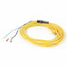 Power Cord 25 ft