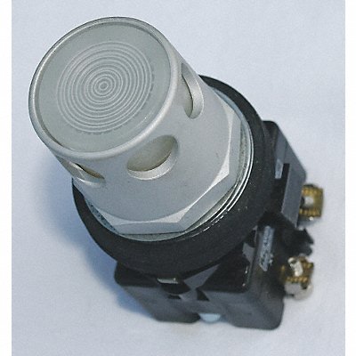 H5298 Illuminated Push Button 30mm 1NO 120VAC