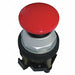 H7087 Non-Illuminated Push Button 30mm Metal