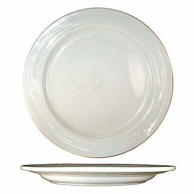 Plate 9 Dia American White PK24