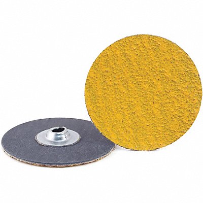 Quick-Change Sand Disc 2 in Dia TS PK100