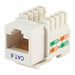 Datacom Jack Cat6 Punch Down White