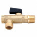 Filter Ball Valve 1/2 MNPT Drain