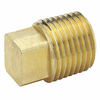 Square Head Plug Brass 1/2 in MNPT