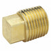 Square Head Plug Brass 1/2 in MNPT