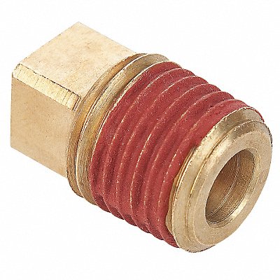 Square Head Plug Brass 1/8 in MNPT