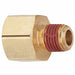 Adapter Brass 3/4 x 1/2 in FNPT x MNPT