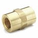 Hex Coupling Brass 1/8 in Pipe Size FNPT