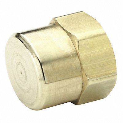 Hex Head Cap Brass 1/2 in Pipe Size FNPT