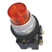 H5305 Illuminated Push Button 30mm 1NO/1NC