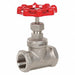 Globe Valve 1 316 Thrd 200