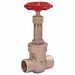 Gate Valve Class 125 2-1/2 In.