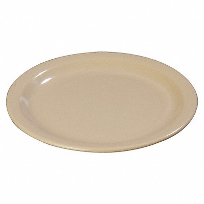 Dinner Plate 10 1/4 Dia Tan PK48