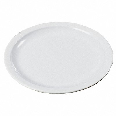 Dinner Plate 10 Dia White PK48