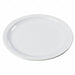 Dinner Plate 10 Dia White PK48